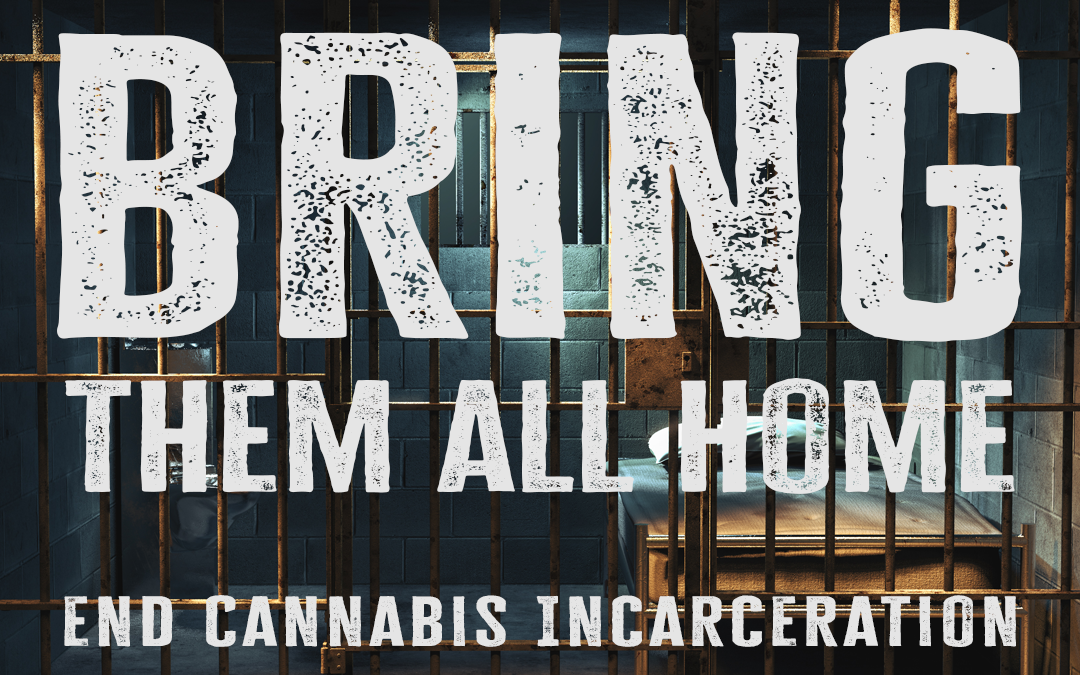 Green Reine Launches Bring Them All Home Campaign to End Cannabis Incarceration