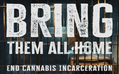 Green Reine Launches Bring Them All Home Campaign to End Cannabis Incarceration